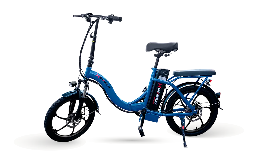 COR-E-BIKE-2